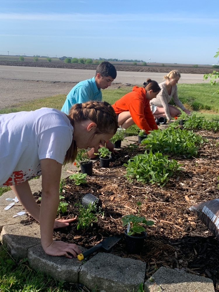 students planting flowers